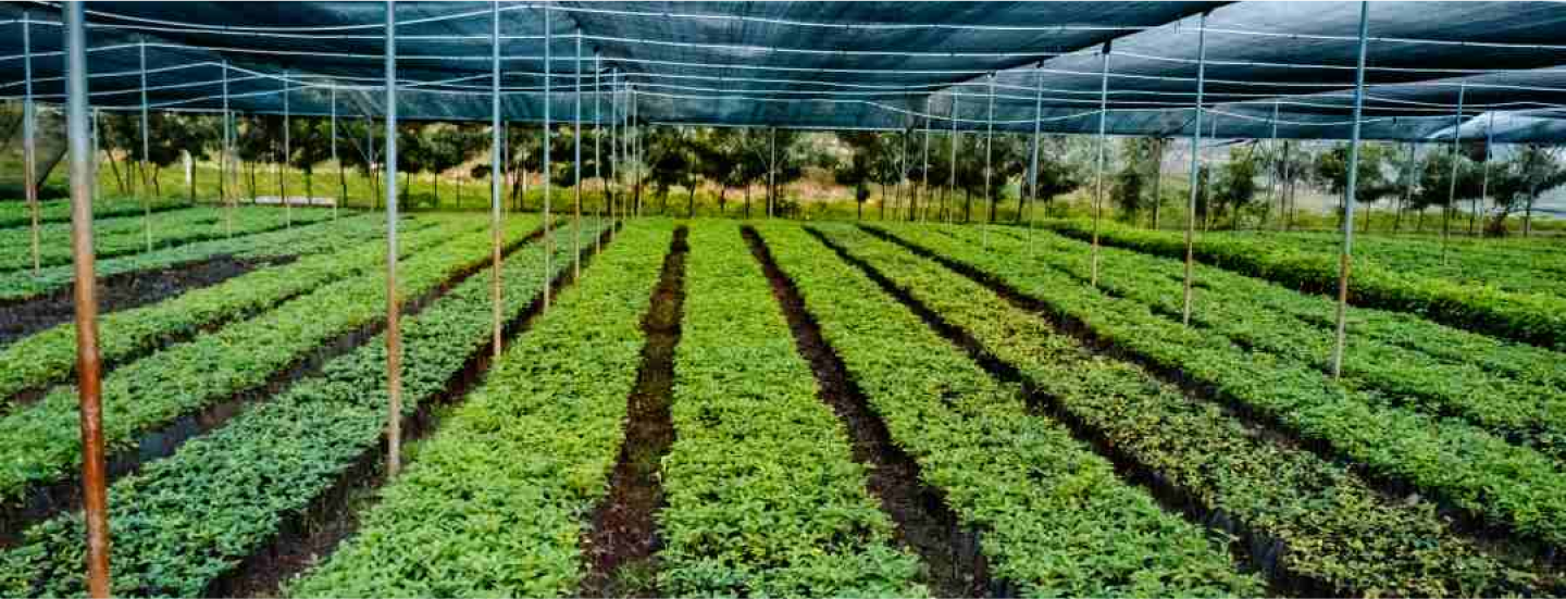 Community Development