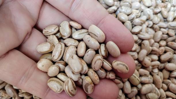 Yirgacheffe Coffee Region